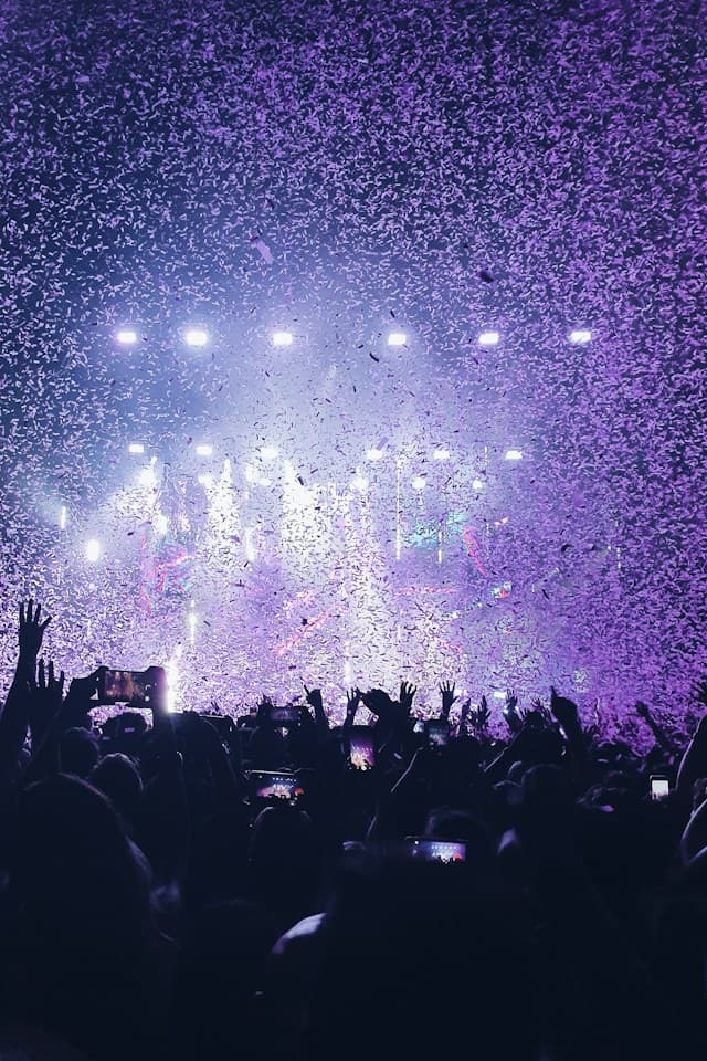 Festival crowd